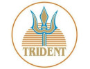 Trident Auto Components Pvt. Ltd.